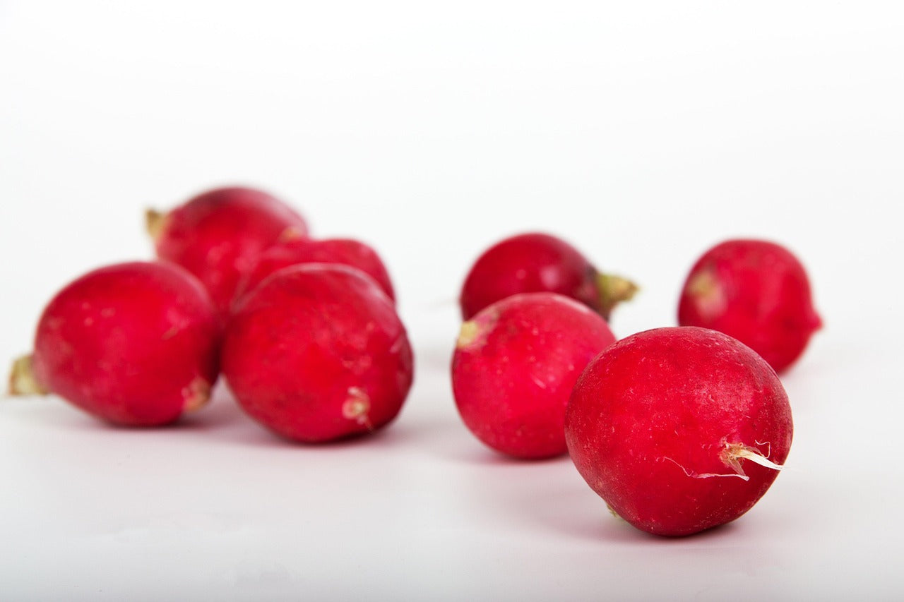 Radishes-16 oz